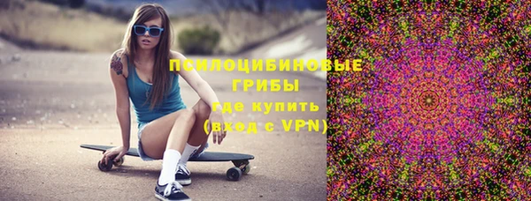 эйфоретик Арсеньев