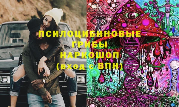 эйфоретик Арсеньев