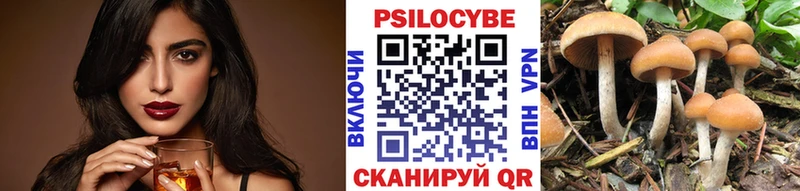 Псилоцибиновые грибы прущие грибы Курганинск